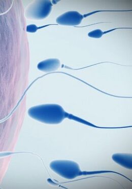 Spermogram az alacsony hatékonyság érdekében